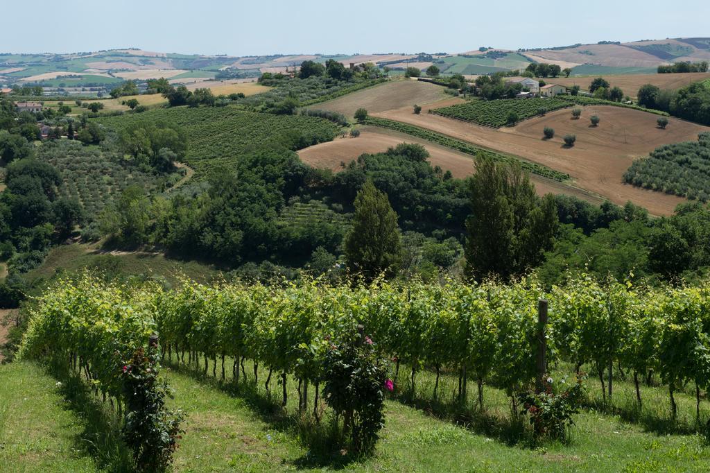 Poggio Montali Villa Monte Roberto Buitenkant foto